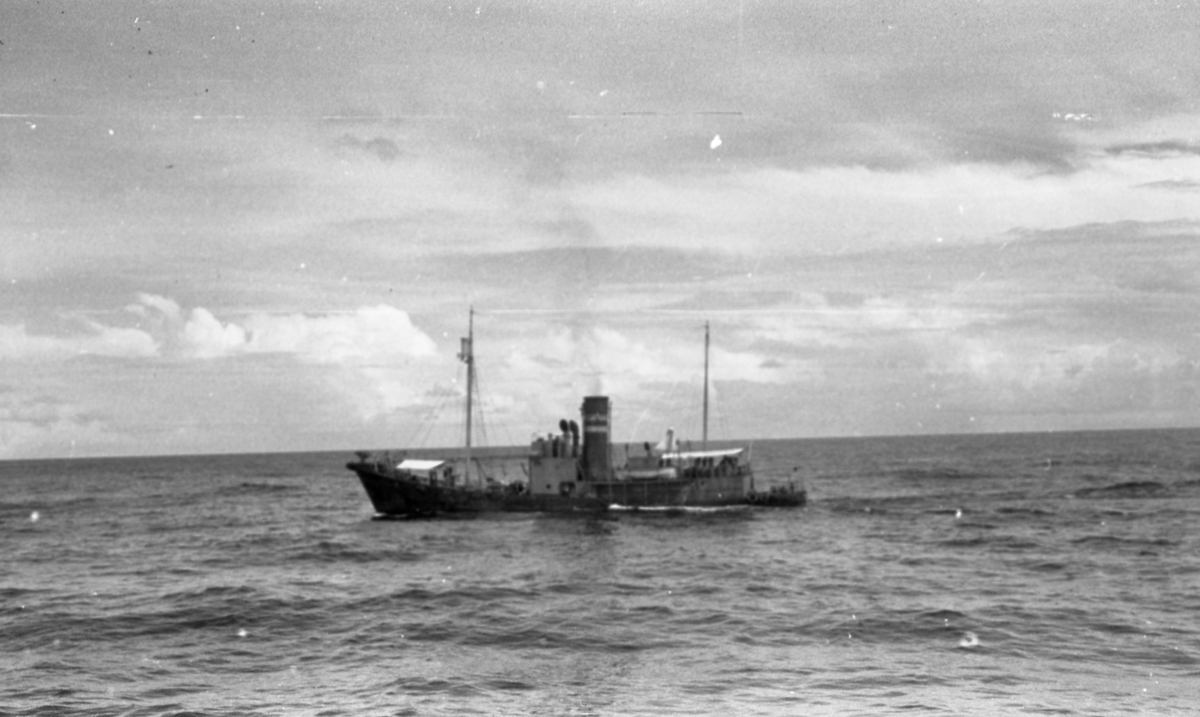 Hvalbåten Suderøy VIII. Suderøy på fangstfeltet.
