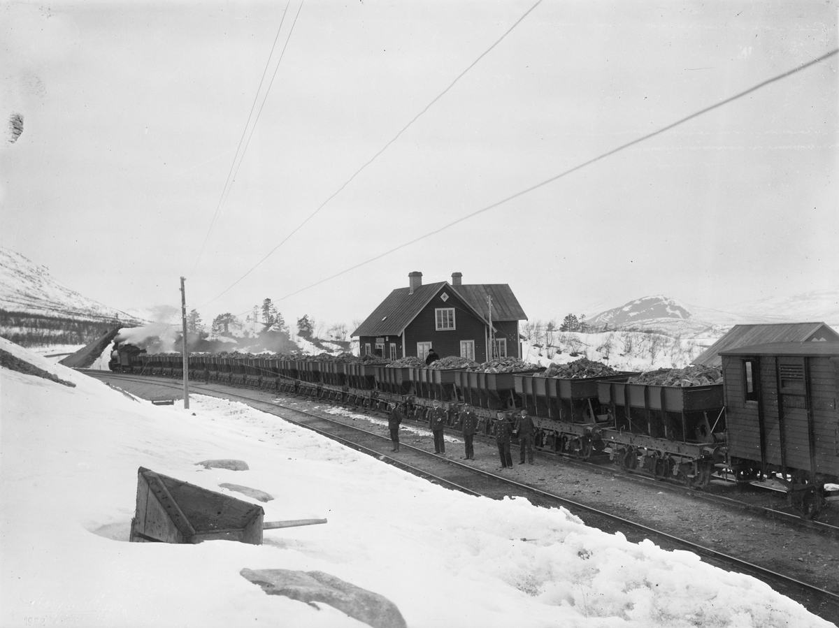 Malmtransport på Malmbanan vid Torneträsk.
