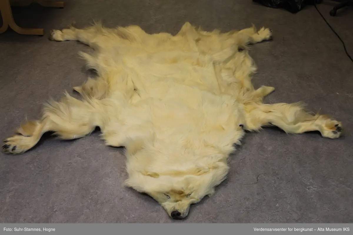 Skinnet til en isbjørn