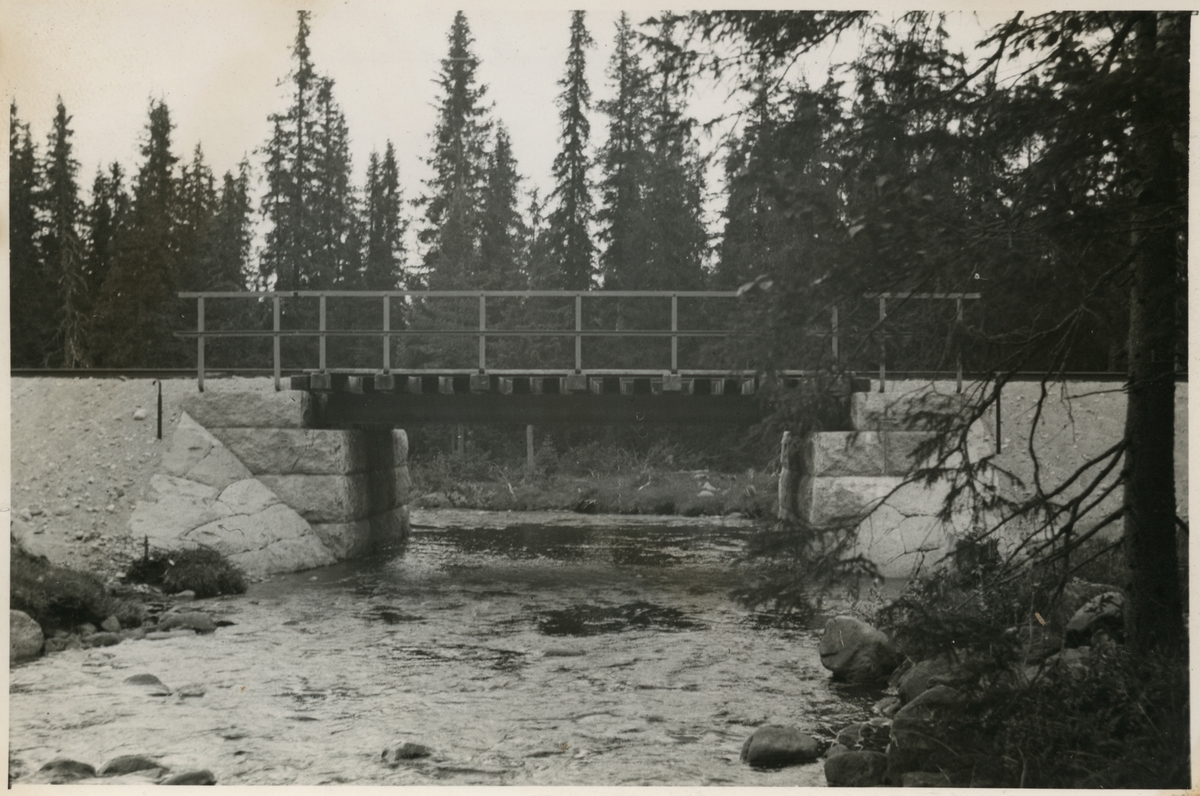 Järnvägsbro över Bergmyrbäcken.
Järnvägen som går genom Jokkmokks område sträcker sig över många vattendrag, bäckar, åar och älvar. Broarna som byggdes över de anpassades till terrängen. De var framförallt funktionella men, deras utseende gick från väldigt enkla, grovhuggna till sublima, estetiskt utformade valvbroar.