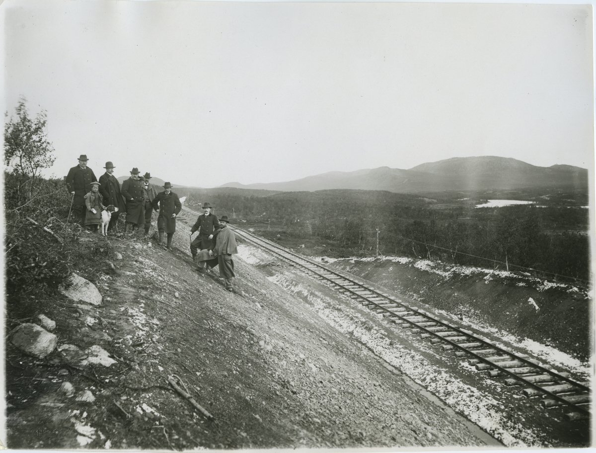 "Avlöningsherrarna" vid järnvägen under Nakerivaara söder om Torneträsk.