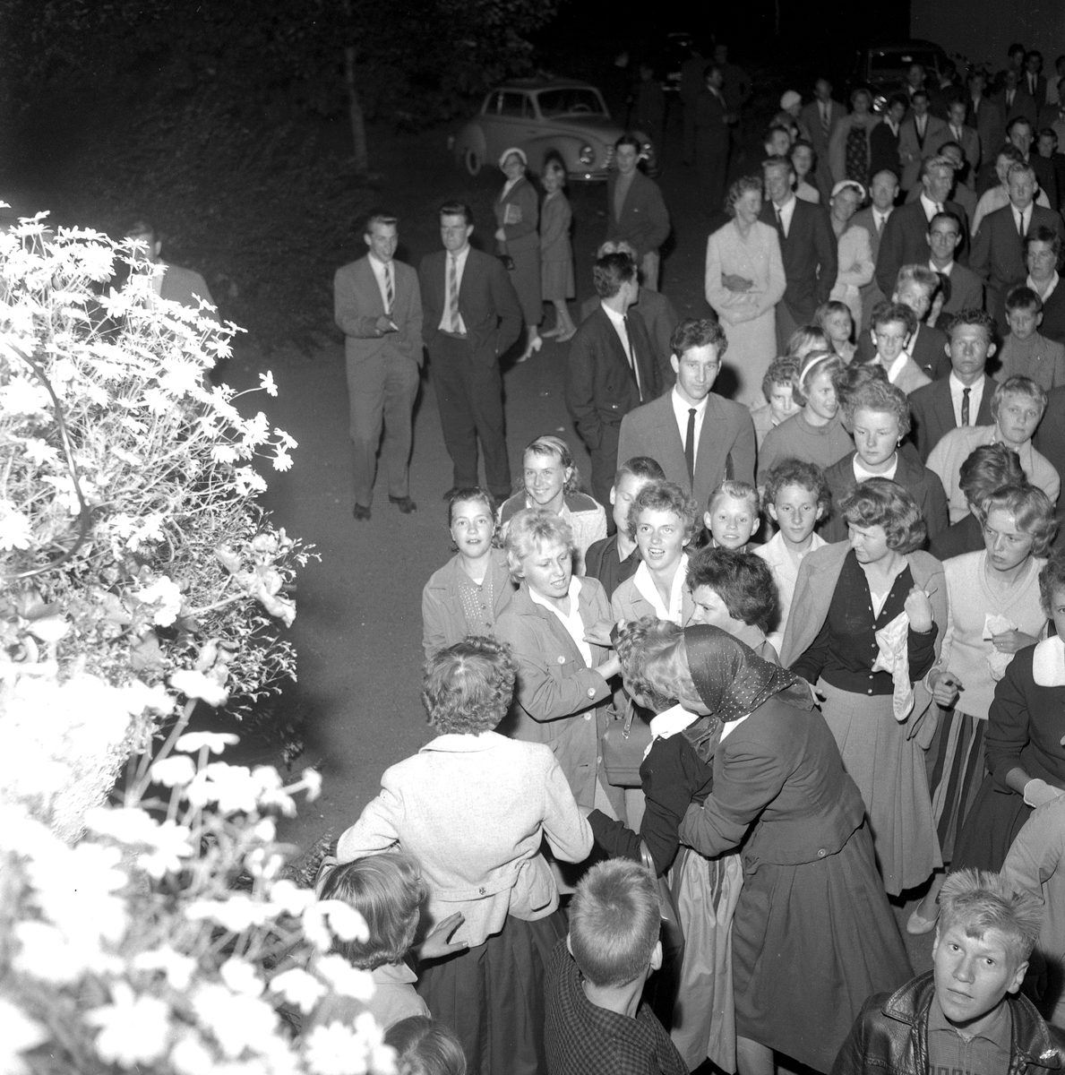 Rockgala i Folkets park.
8 september 1958.