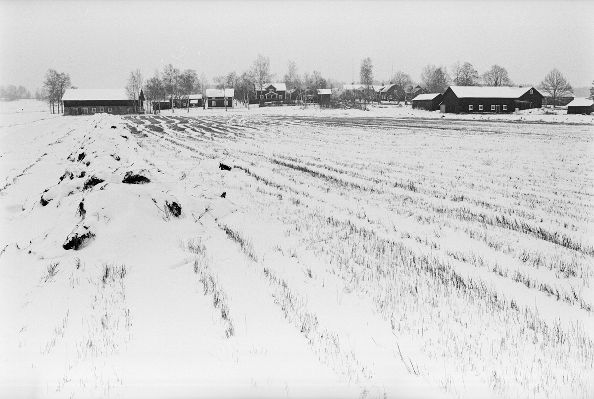 Landskapsvy - åkrar med byn Sävasta i bakgrunden, Altuna, Uppland januari 1988