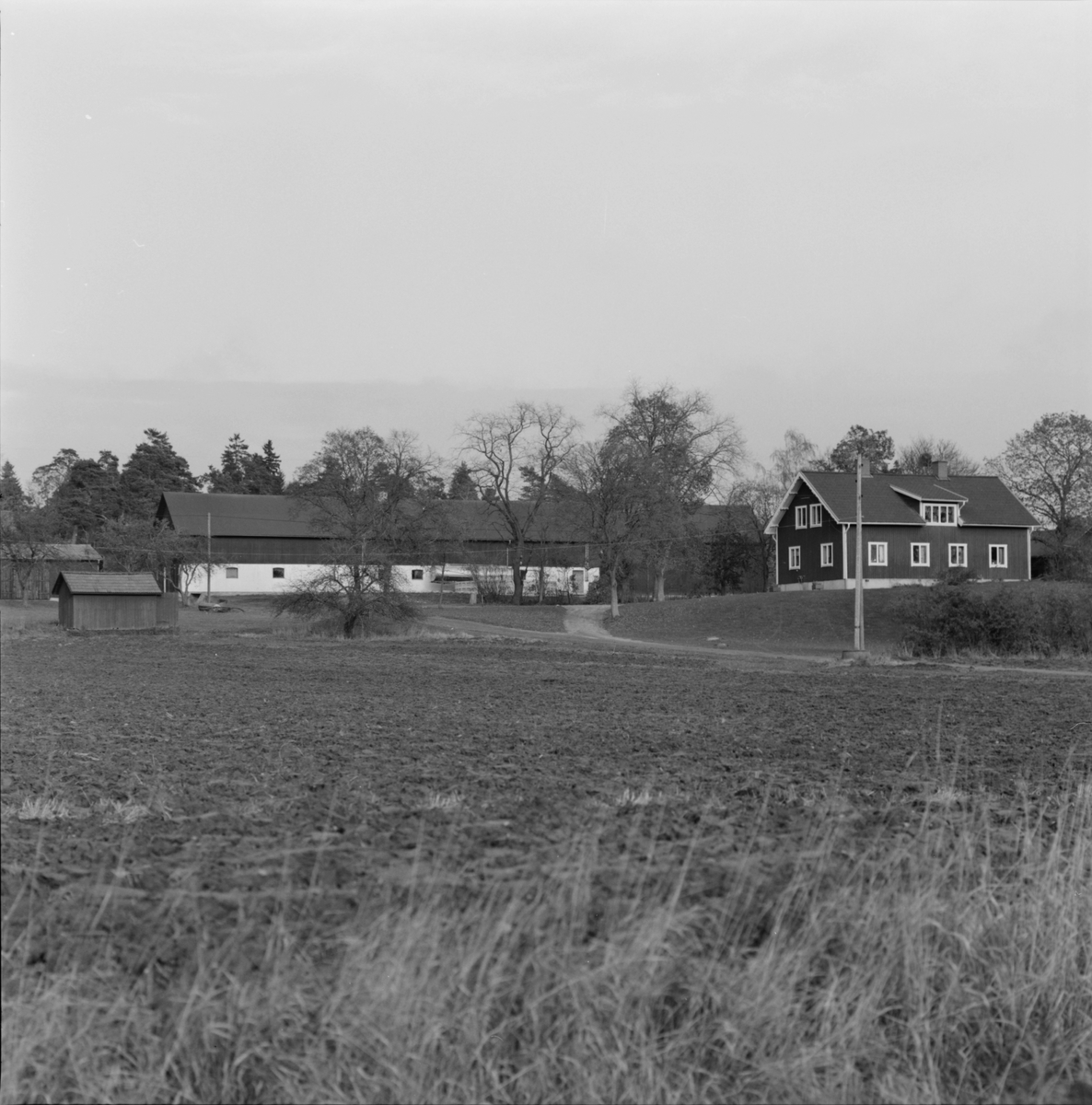 Stora Bärsta från landsvägen, Uppsala-Näs socken, Uppland oktober 1981
