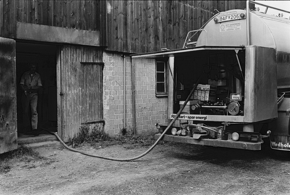 Mjölk tankas över till mjölkbilen, som kommer varannan dag till gården, Mossbo, Tierps socken, Uppland augusti 1981
