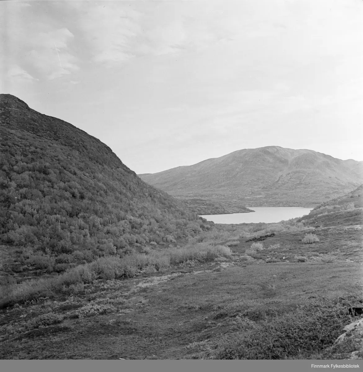 Lebesby, Kjøllefjord 1940. Utsikt fra gamle Kjøllefjordveien mot Storvannet der Peder Olsen hadde sin hytte.
