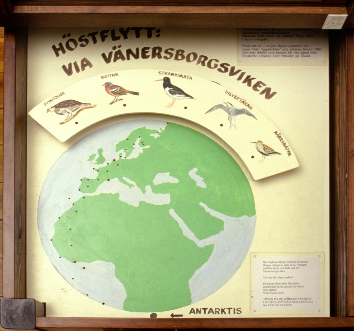 Vänersborgs museum. Nordiska djursalen, studieplatser