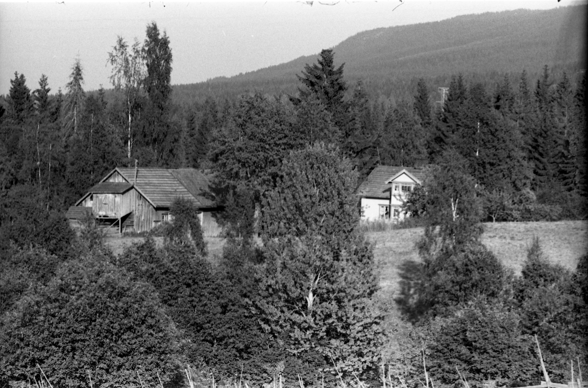 Hågård i Øverskreien 1955. Tre bilder.