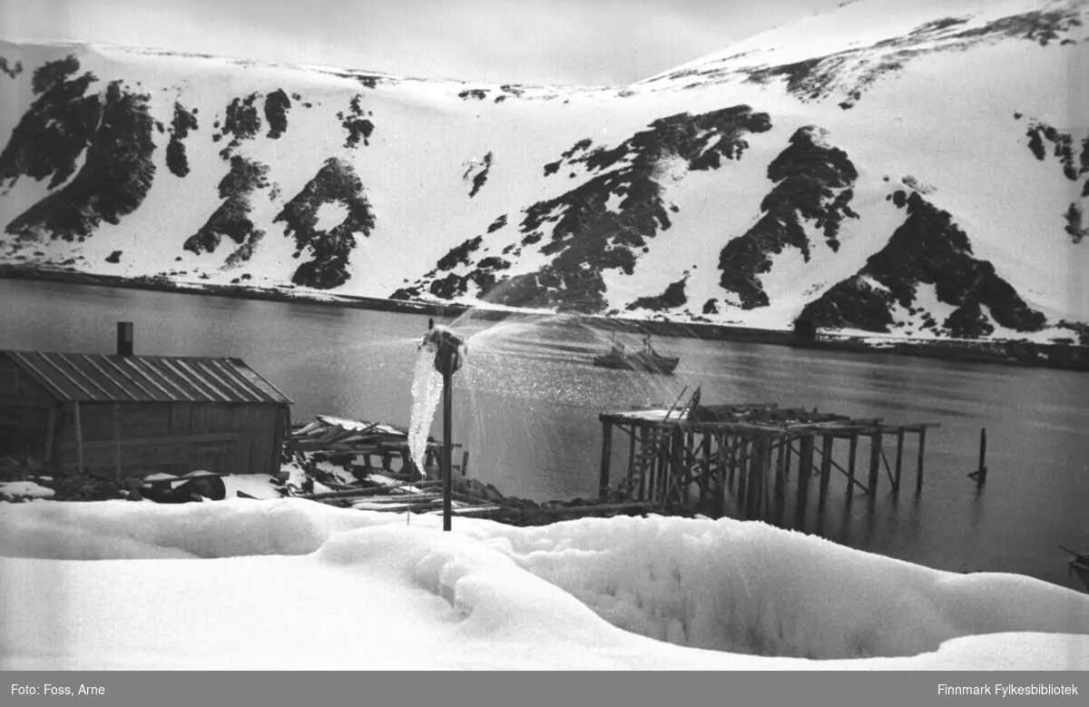 Honningsvåg, mai 1946. Vann spruter ut av røret som er delvis frosset. Gjenreisning er i gang i Finnmark.