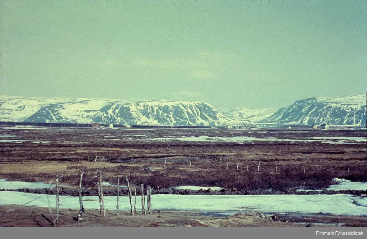 Veidnes, påsken 1960. Stormyra i forgrunnen. Veidnes er ei bygd i Lebesby kommune i Finnmark. Det er det eneste bebodde stedet på vestsiden av Laksefjorden, og er trolig det stedet i Norge som har lengst vei til kommunesenteret, ca. 265 km til Kjøllefjord. (det er 51 km med båt). Veidnes har ca. 50 innbyggere. Næringslivet i bygden består av fiske og hold av storfe og sau. Naturen er en del av et våtmarksområde med bjørkeskog, myrer, og spesielt rikt fugleliv.  Fotografen Richard Bergh har også skrevet et hefte som heter: "Når vi sitt' her og prate". Folk i Laksefjord forteller. Norsk Folkeminnelags skrifter nr. 122. H. Aschehoug & Co. (W. Nygaard). Oslo 1980. ISBN 82-03-10187-9