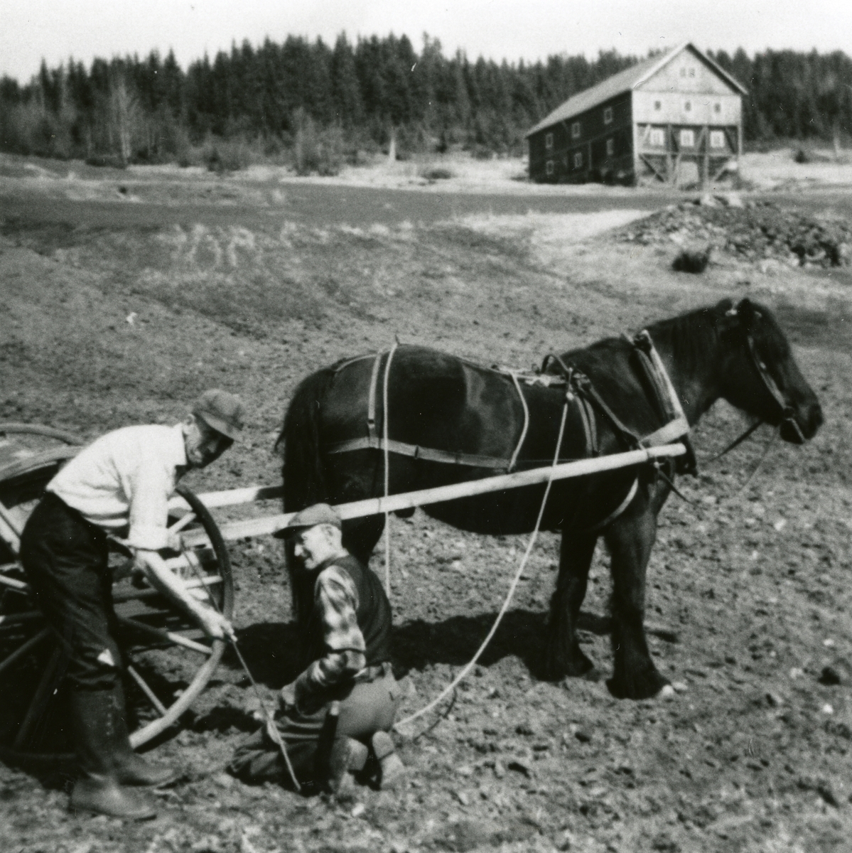 Våronn med hest i midt Mørstad 12/2 i Øystre Slidre. ca. 1960.