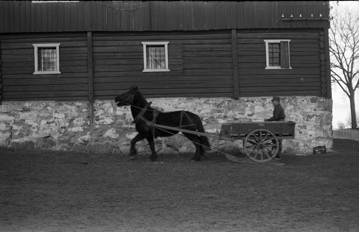 Fire bilder fra Hærens Hesteskole på Starum november 1955.
Kjerre med påmonterte meier, trukket av en hest. Soldaten er ikke identifisert.
