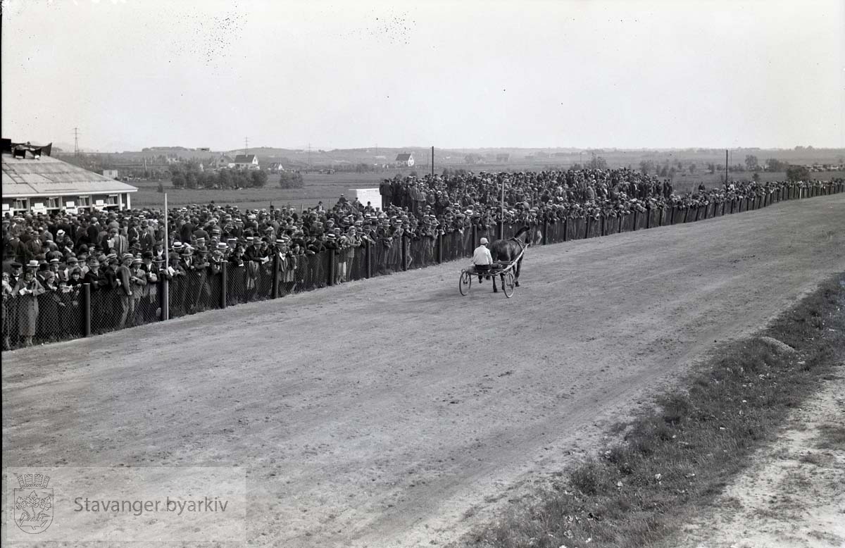 Kusker og hester i kappløp på travbanen Tilskuere langs banen.