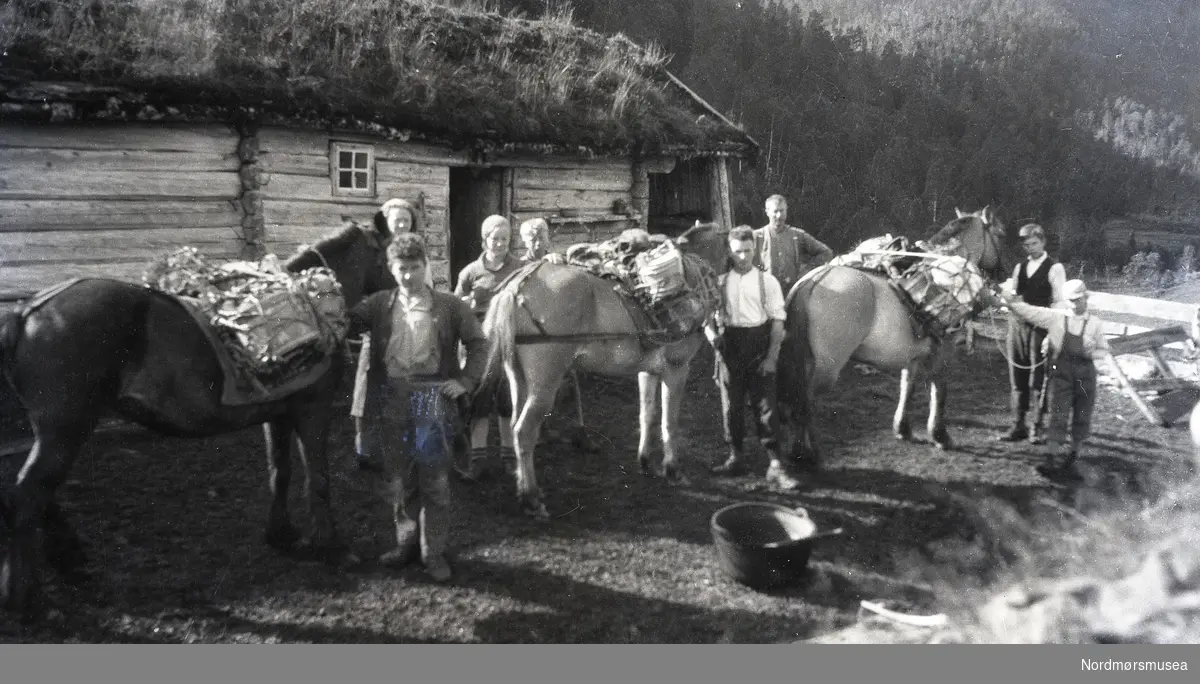 Sistdag på Holasætra i 1930 med kløvhestar og flyttefolk.