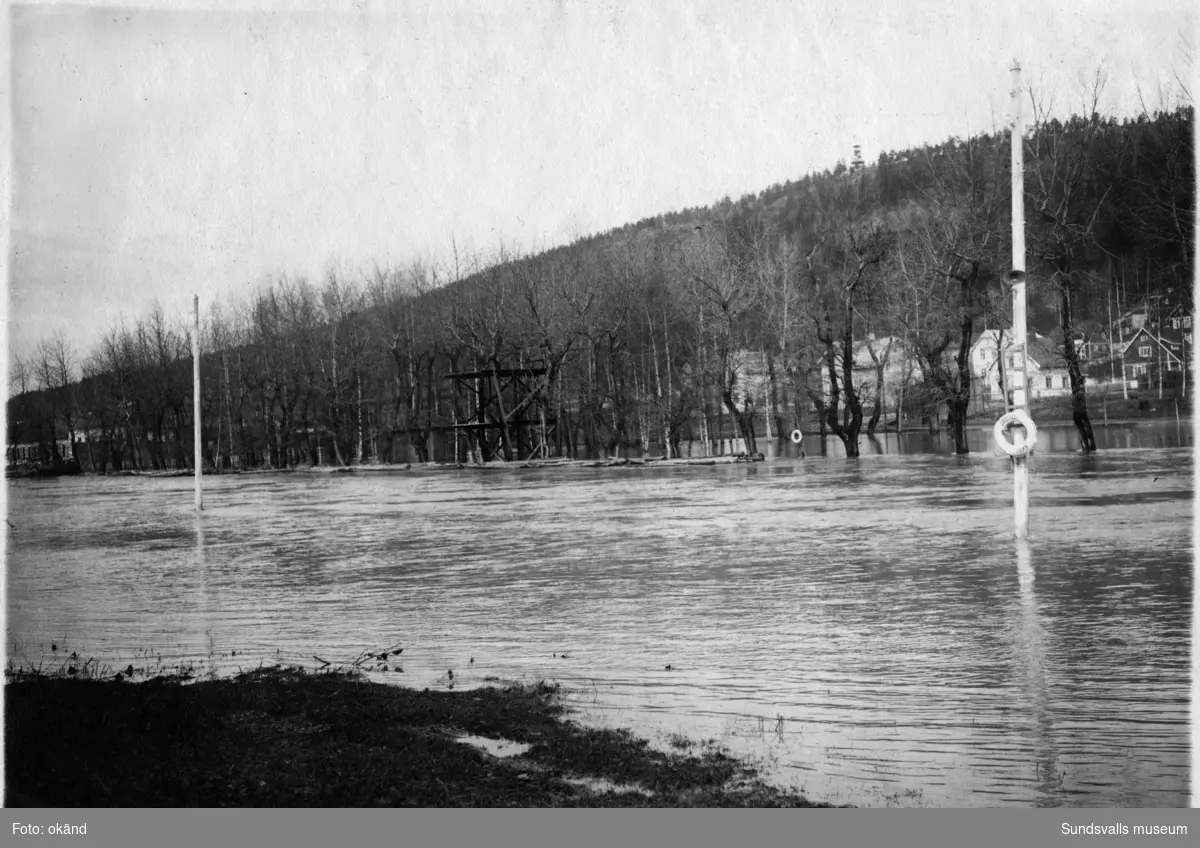 Från översvämningen våren 1919. På motsatta sidan Selångersån kan man bl a skymta trampolinen. Simtävlingar i ån hölls i mitten av 1920-talet med bland annat deltagare som Arne Borg. Simningen ägde rum mellan trampolinen och Puckelbron.