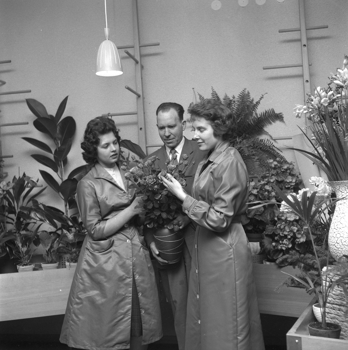 Blomsterhandel på Söder.
31 oktober 1958.