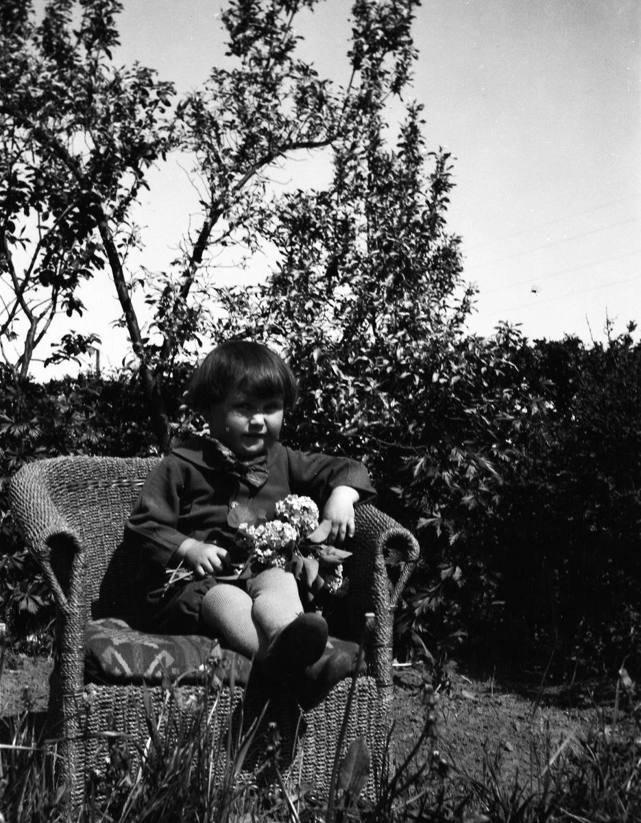 Ett litet barn sitter utomhus i en korgstol med några syrenkvistar i knät.
(Se även bildnr EA0890)