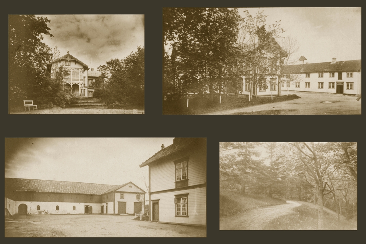 Side 3 i Anton Sophus og Barbara Bachkes familiealbum. Bildene viser deler av bebyggelsen på gården og utsnitt fra hagen.