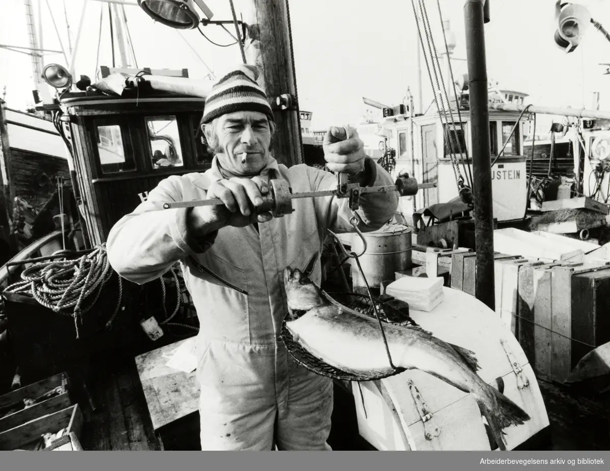 Havna. Svein Johansen på "Heilo", hører med til de faste fiskeselgerne langs Rådhuskaia. Mars 1983