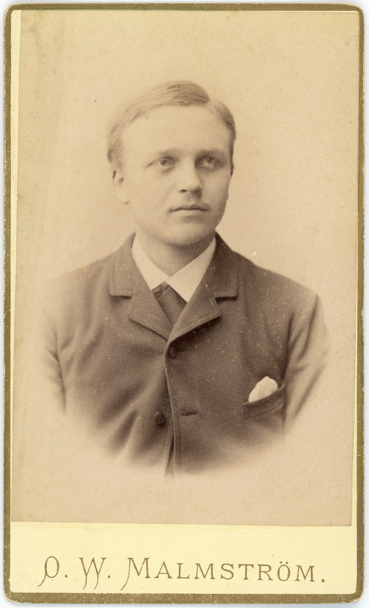 Porträtt Ernst Stenström