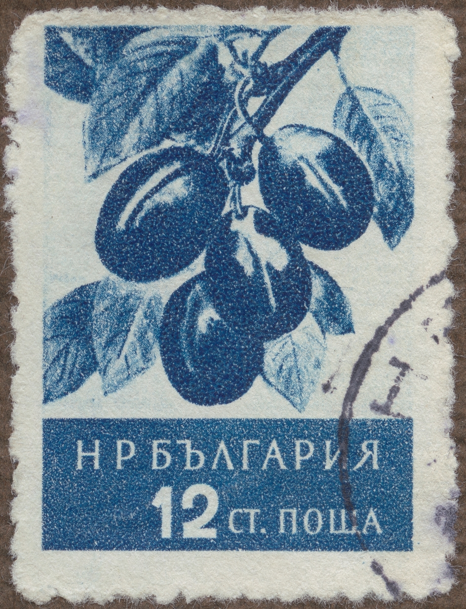 Frimärke ur Gösta Bodmans filatelistiska motivsamling, påbörjad 1950.
Frimärke från Bulgarien, 1956. Motiv av plommon. "Frukt serie".