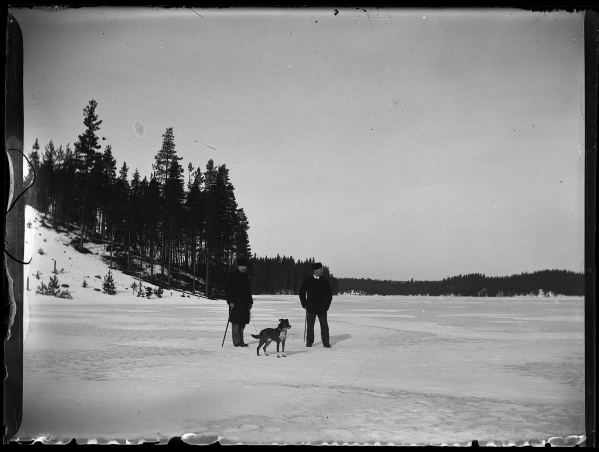 Två män med hund på skogspromenad, Riddarhyttan.