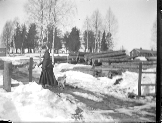 Kvinna med hund i vinterlandskap, Riddarhyttan.