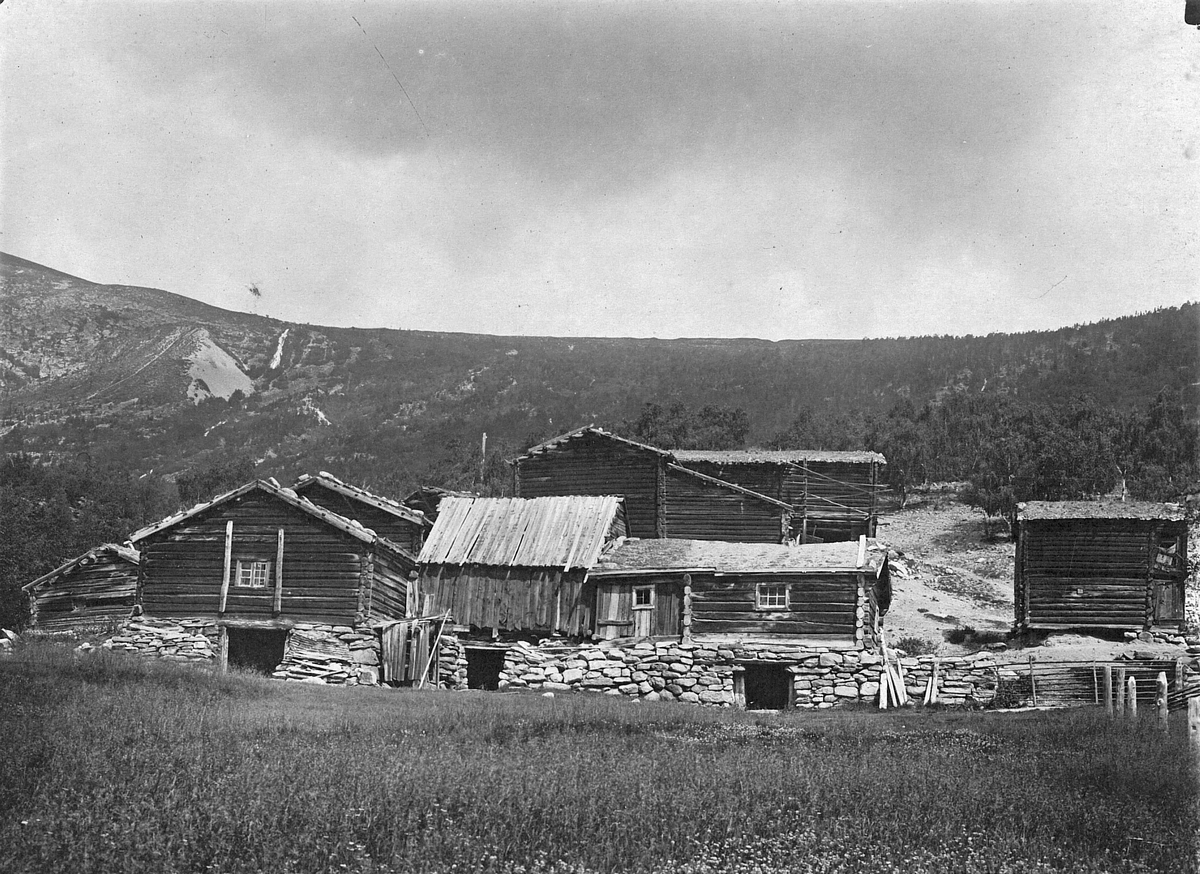 Repro: Gardstun, hus, fjøs, Øygarden slik den stod i Skjåk 1918. 