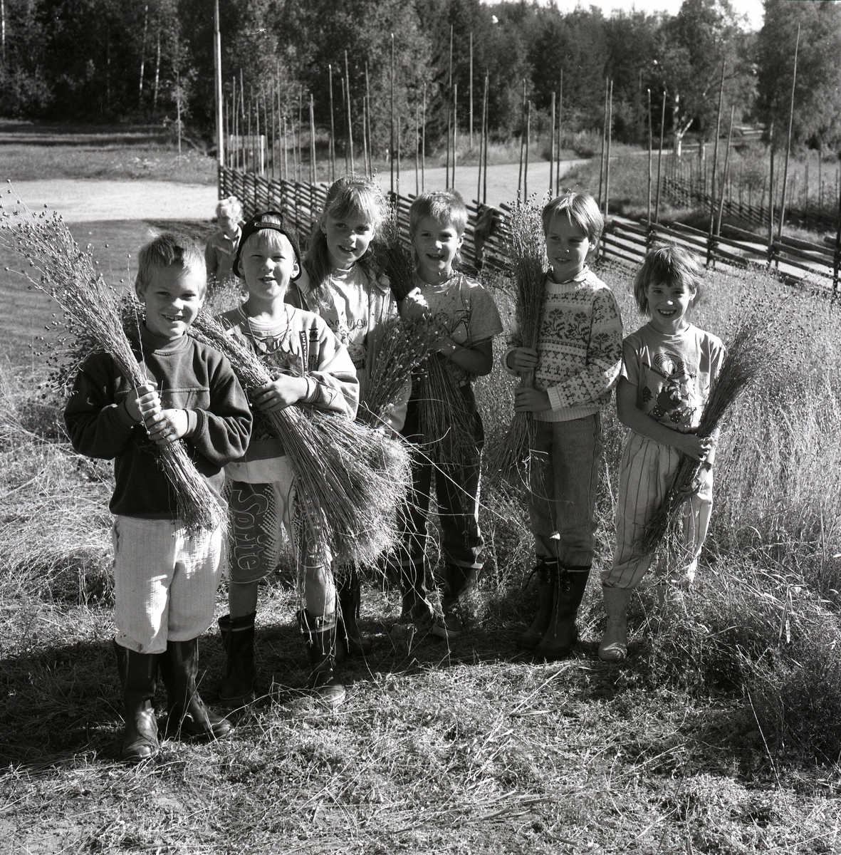 Några barn har plockat lin, runt omkring dom är det gräs, lin, gärdesgård, grusväg och skog. Skol lindag 22 augusti 1990.
