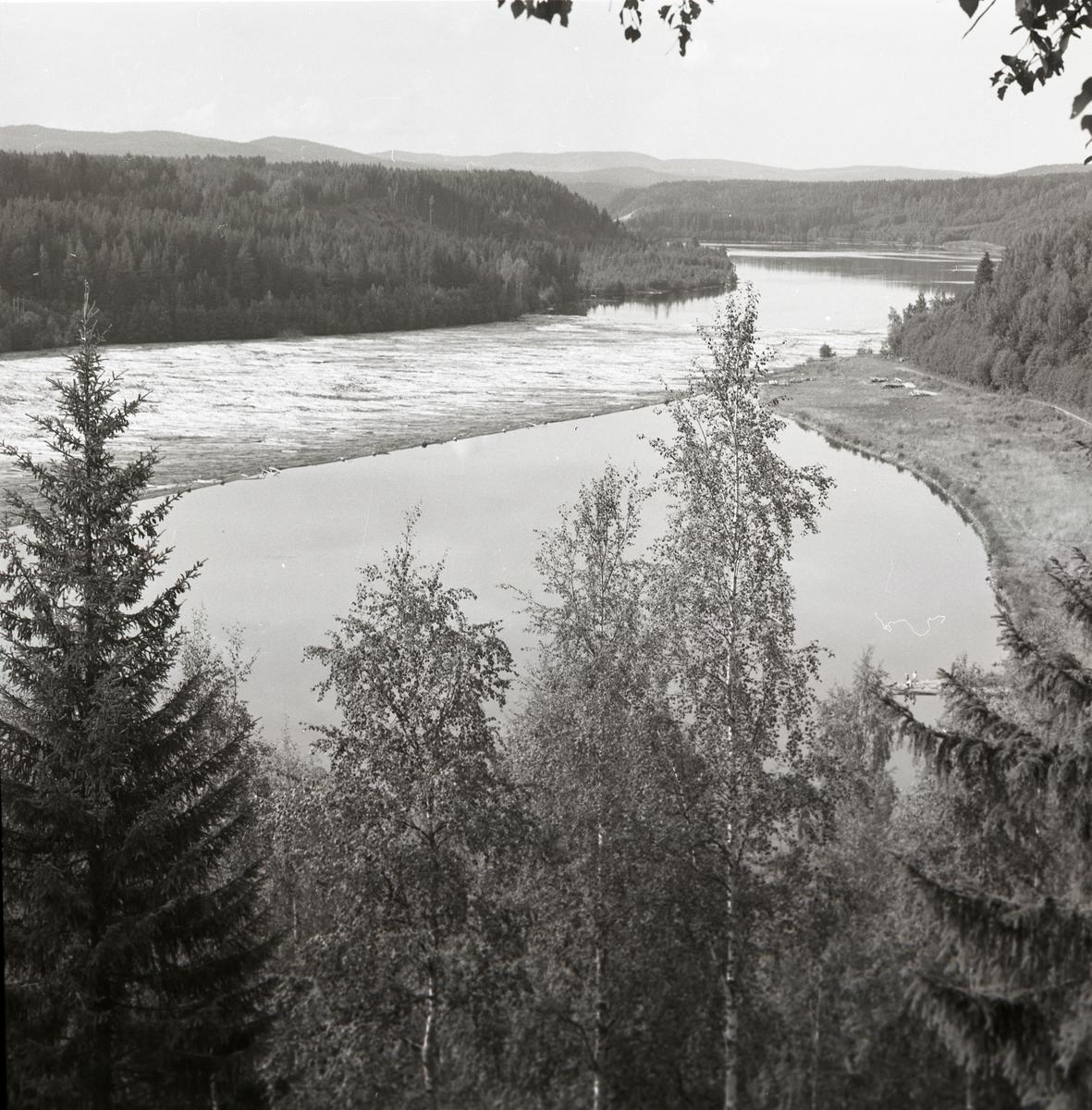 Utsikt över skog och en forsande älv i Sollefteå, augusti 1974.