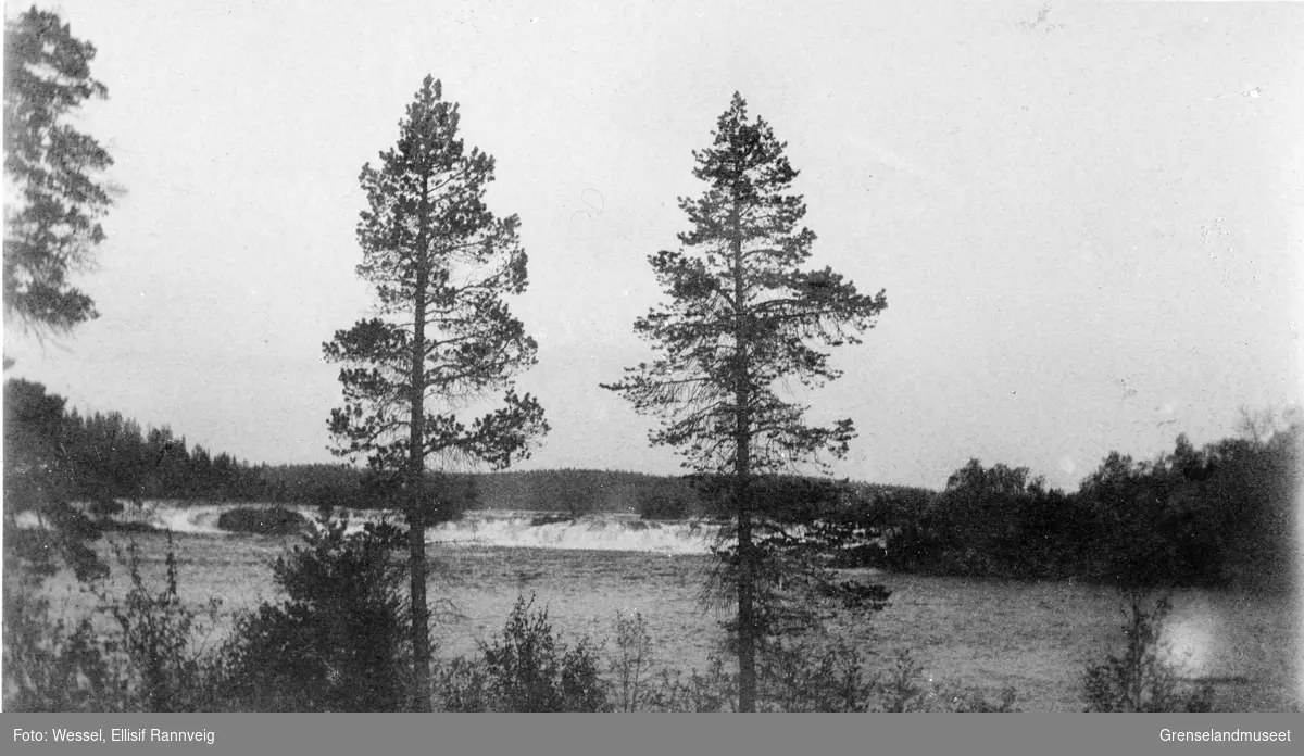 Skogfossen i Pasvik.