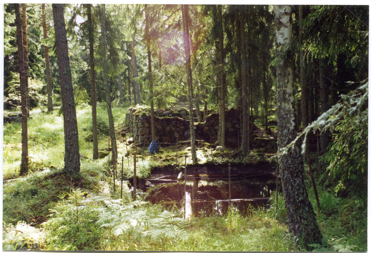 Lillhärad sn, Västerås.
Toftgruvan. Gruvhål vid Toftberget. 1994-1995.