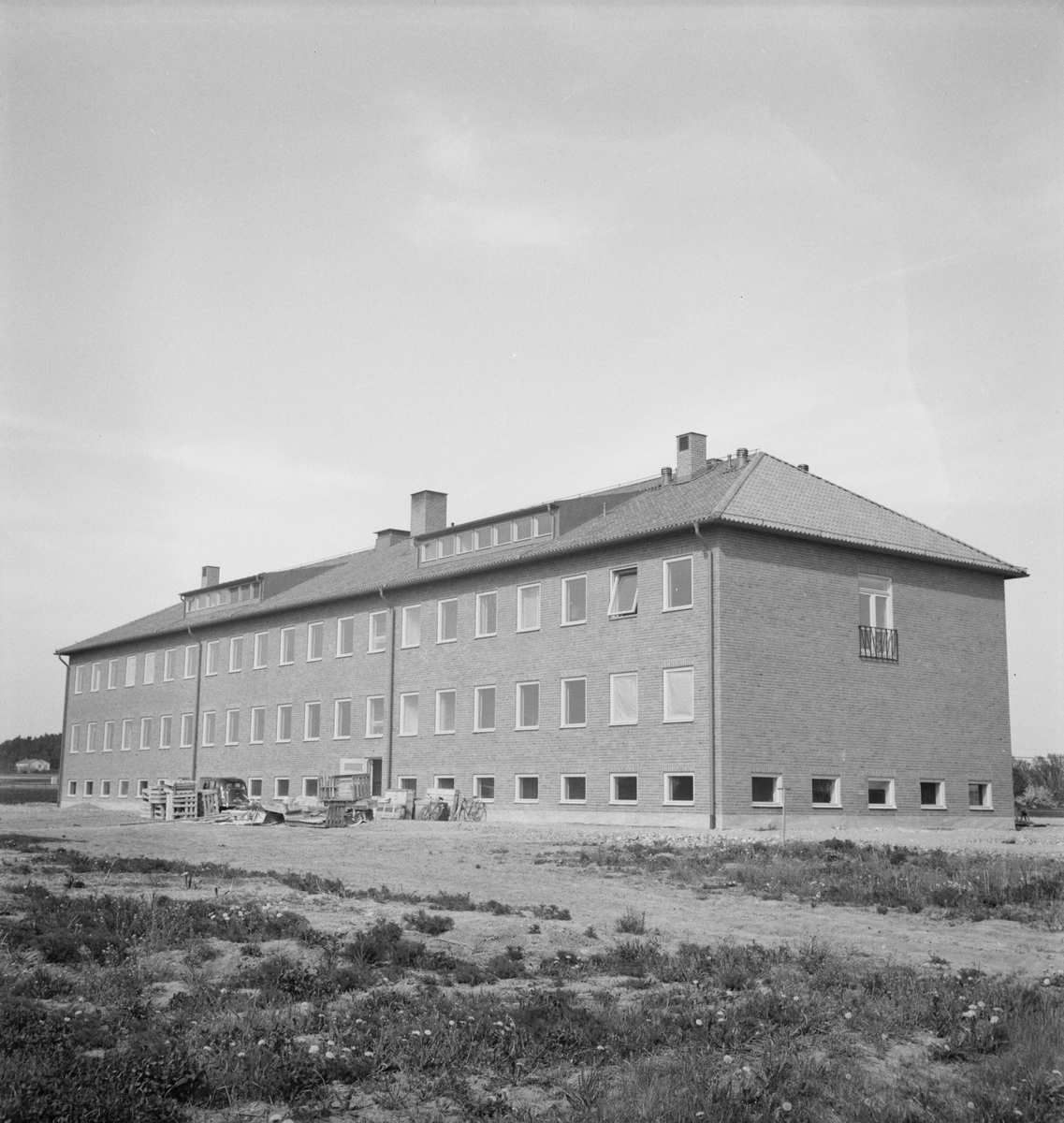 Mikrobiologiska institutionen, Lantbrukshögskolan, Ultuna, Uppsala 1949