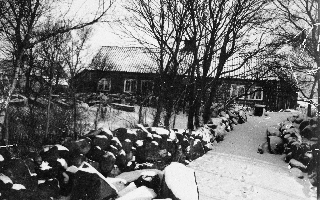 Det gamle våningshuset på Tjensvoll i ca 1915. Biletet er teke frå vest frå "Kalvehagen".