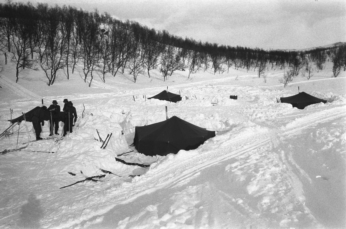 Befalsskolen Nord Norge, vinterøvelse på Melåheia mars 1976. Teltleir i snøen.