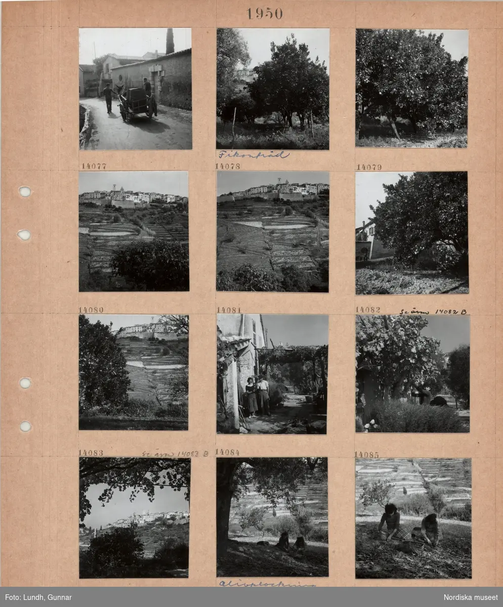 Motiv: (ingen anteckning) (Ester och Gunnar Lundhs resa till Rivieran) ;
Två personer leder en åsna som drar en vagn, ett träd "Fikonträd", landskapsvy med odlingar och bebyggelse, en kvinna och en man står i en trädgård vid ett hus, en kvinna plockar frukt från ett träd, två kvinnor plockar oliver på marken.