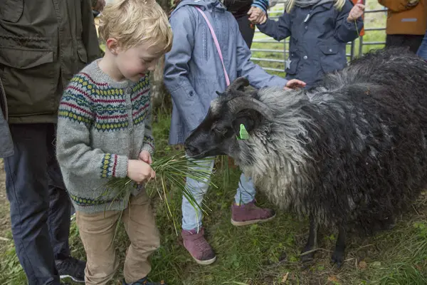 Høstdag på Bogstad Gård, familiearrangement for barn med dyr og mange aktiviteter