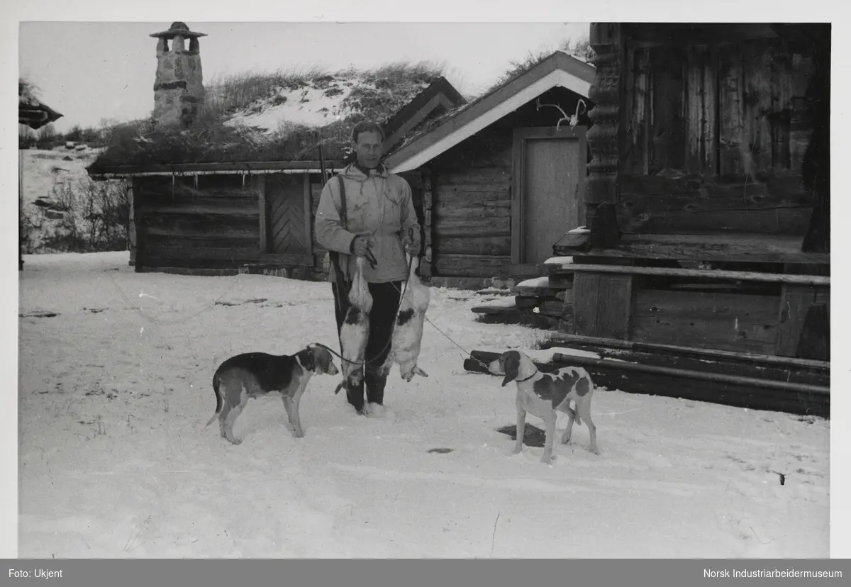 Mann med to felte harer i hendene og to hunder står i snøen på hyttetunet på Sundet, Møsstrond