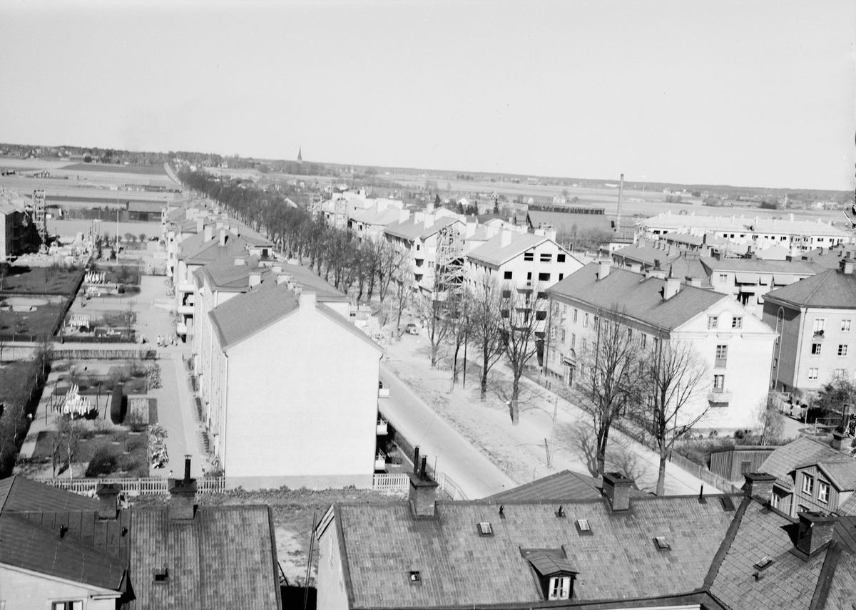 Vy över Vaksalagatan, Uppsala, 1950-1952