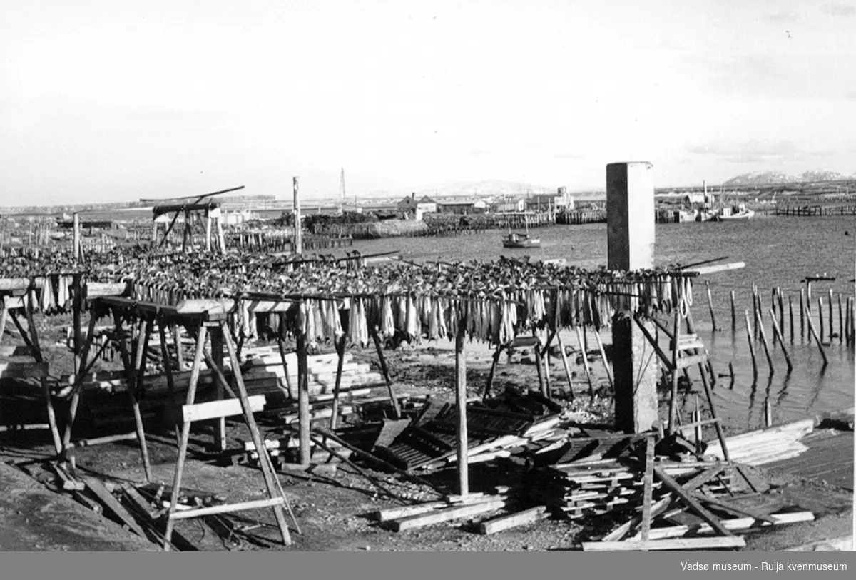 Fra havnegata mot sentrum i mai 1945. Krigsruiner og fisk på hjell.