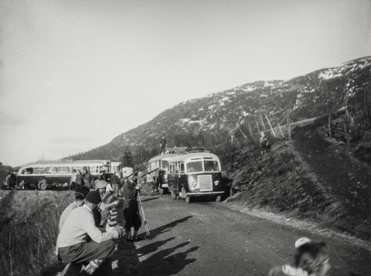 Busser leiet av Turistforeningen ved Rødne, hvor man tar opp til Olaliå.