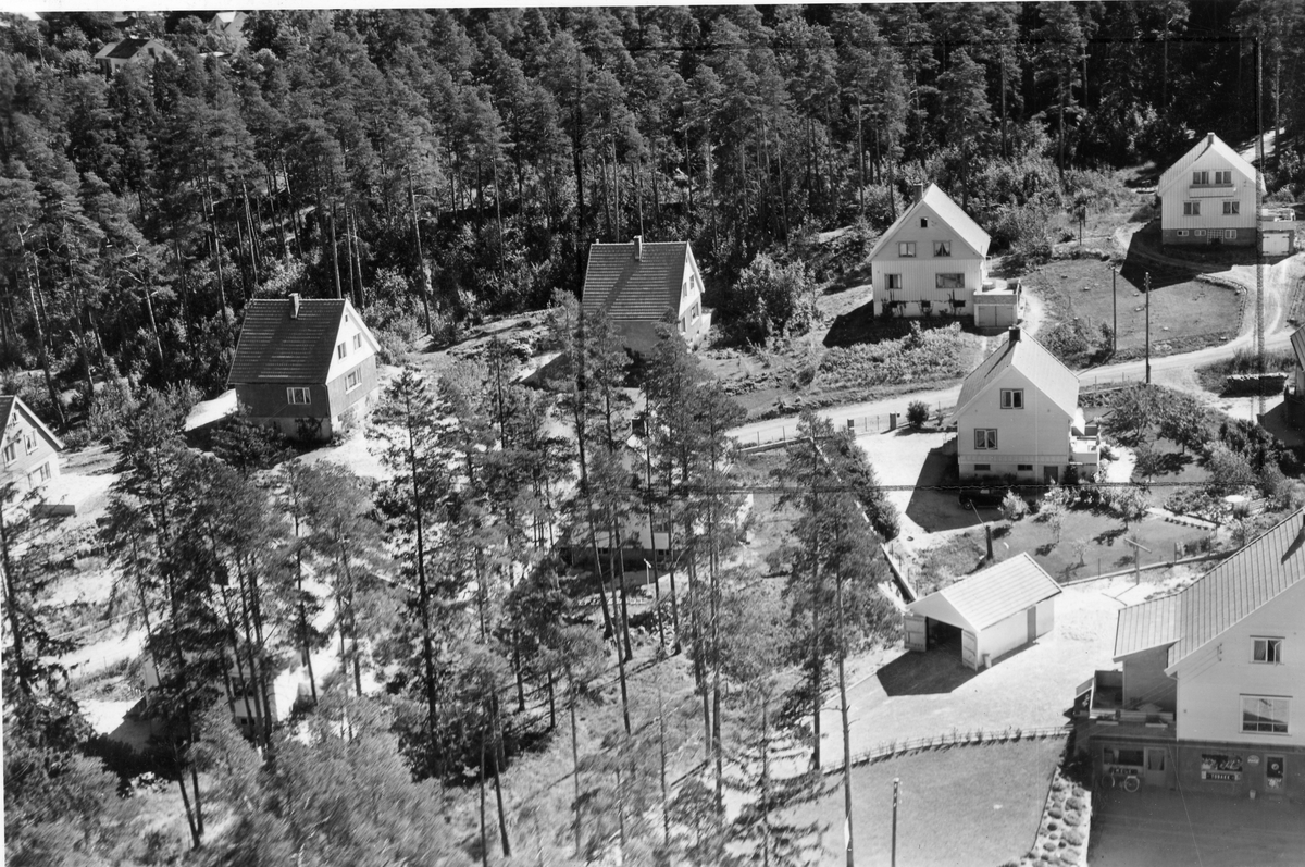 Flyfotoarkiv fra Fjellanger Widerøe AS, fra Porsgrunn Kommune. Øyekast. Fotografert 08.08.1959. Fotograf J. Kruse