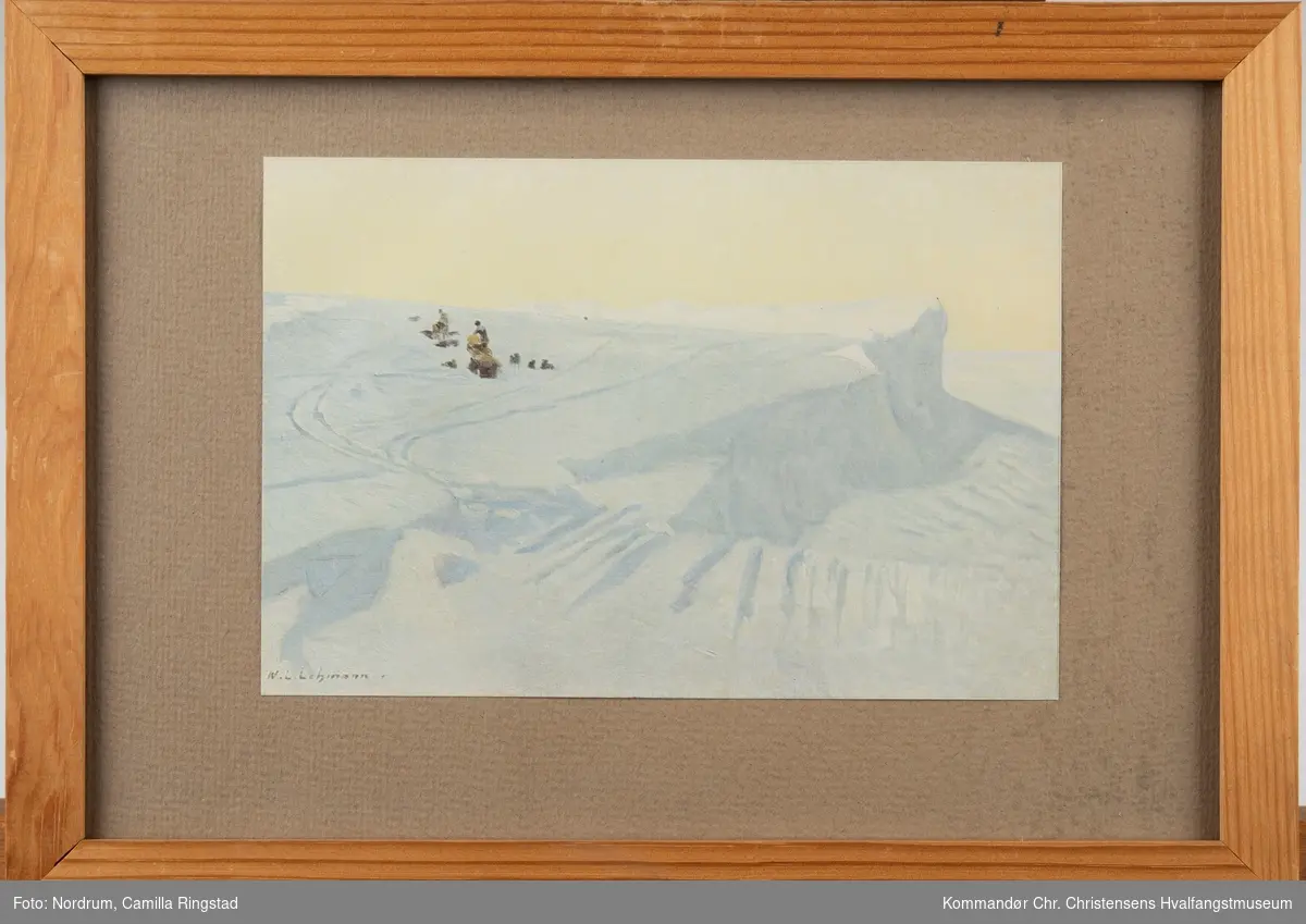Roald Amundsens sydpolsekspedisjon. Sledeferden.