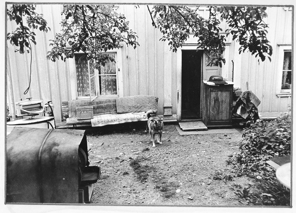 Fotografi av Bergsgatan 60 från gårdssidan. En lite stökig miljö. En hund står till vänster om dörren.