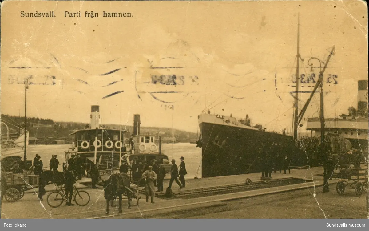 Vykort med motiv över last-, och passagarerarbåtar och såväl människor som djur vid hamnen i Sundsvall.