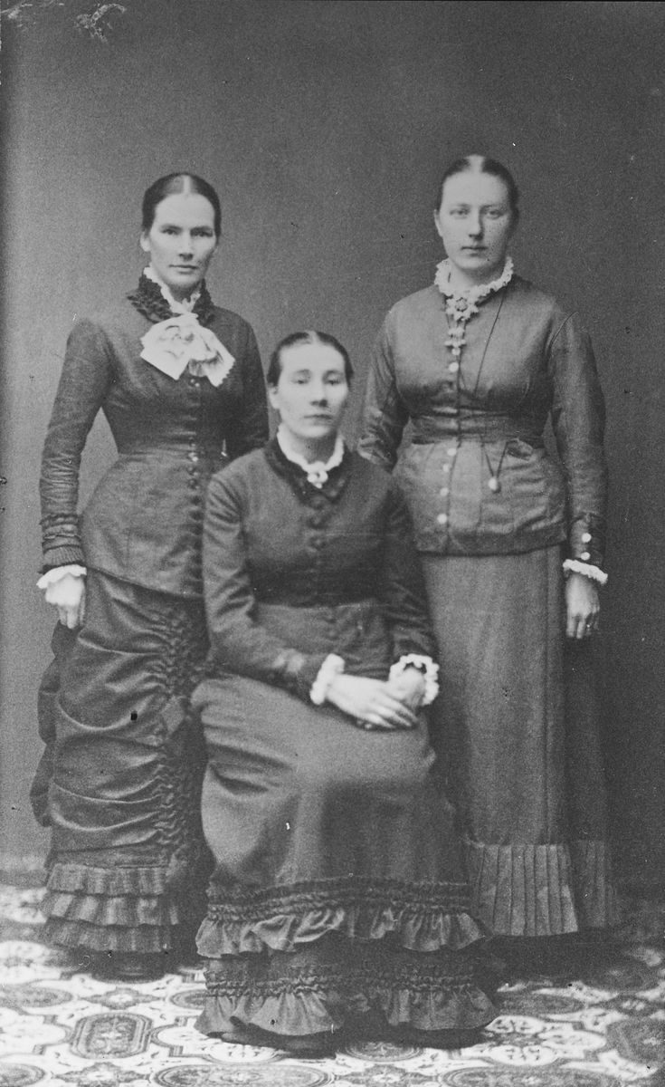 Portrett av tre kvinner . Anne Steifetten, Dorthea Müller, ukjent