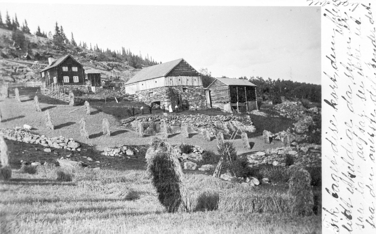Gardsbruket Holene ( I Hølo)