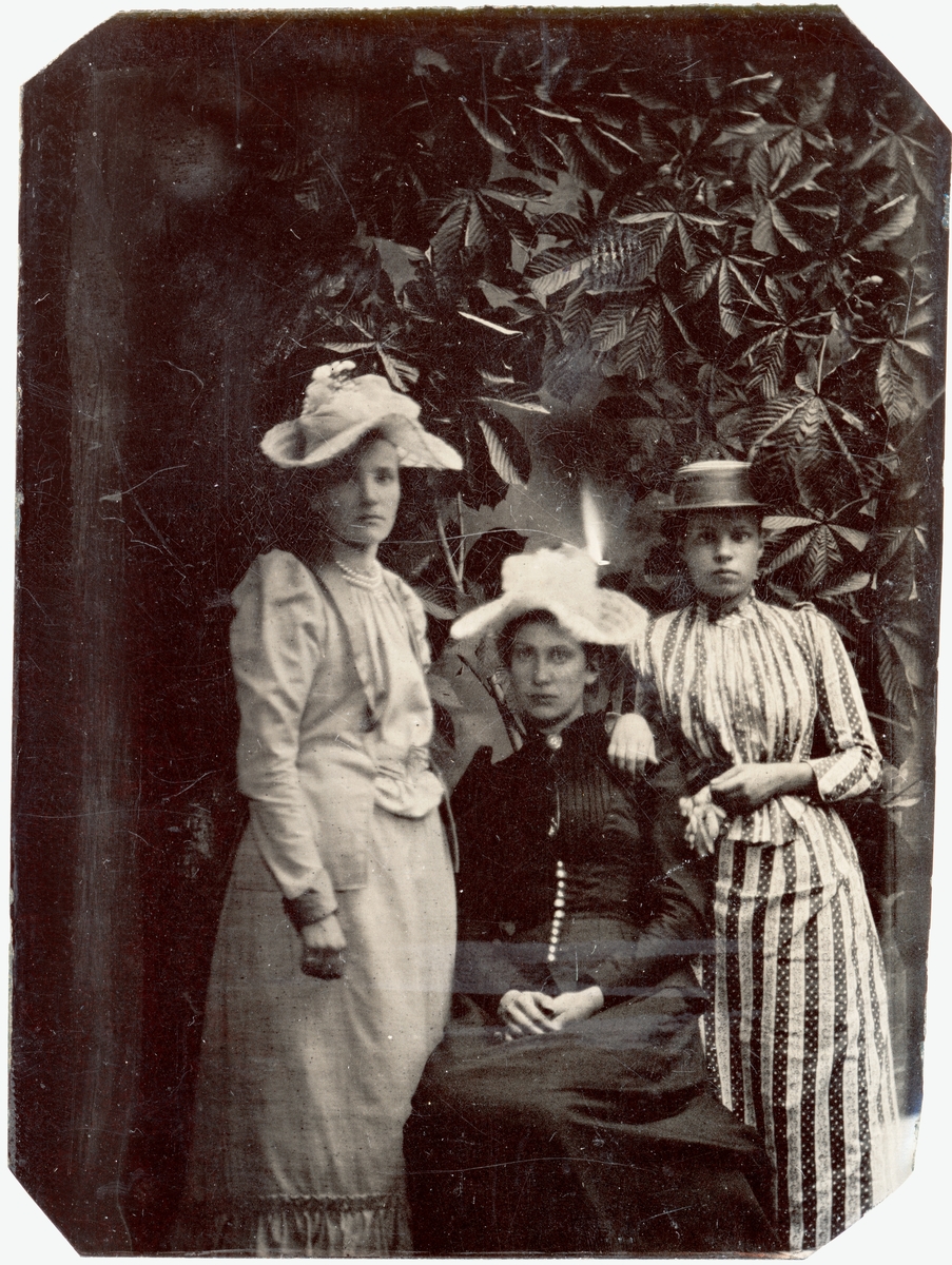 Ferrotyp - tre unga kvinnor, Elisabeth (Elise) Wenster i mitten, Uppsala, 15 juli 1891