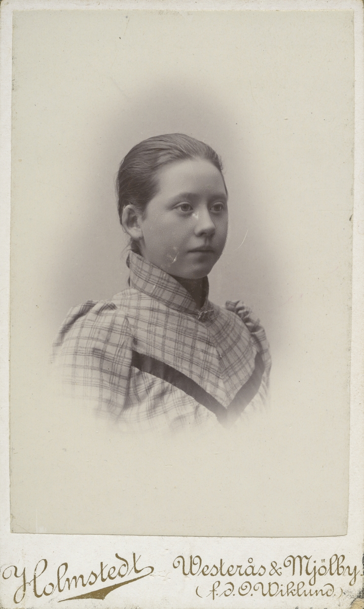 Anna Reuterskiöld den 17/4 1891.
