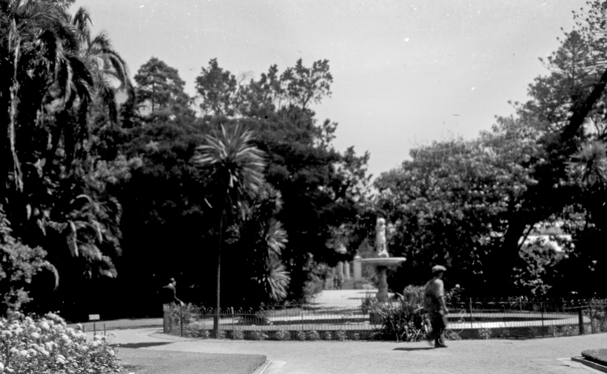 Parkanlegg. En fontene i senter omringet av palmer og andre trær. Suderøy på vei til fangstfeltet.